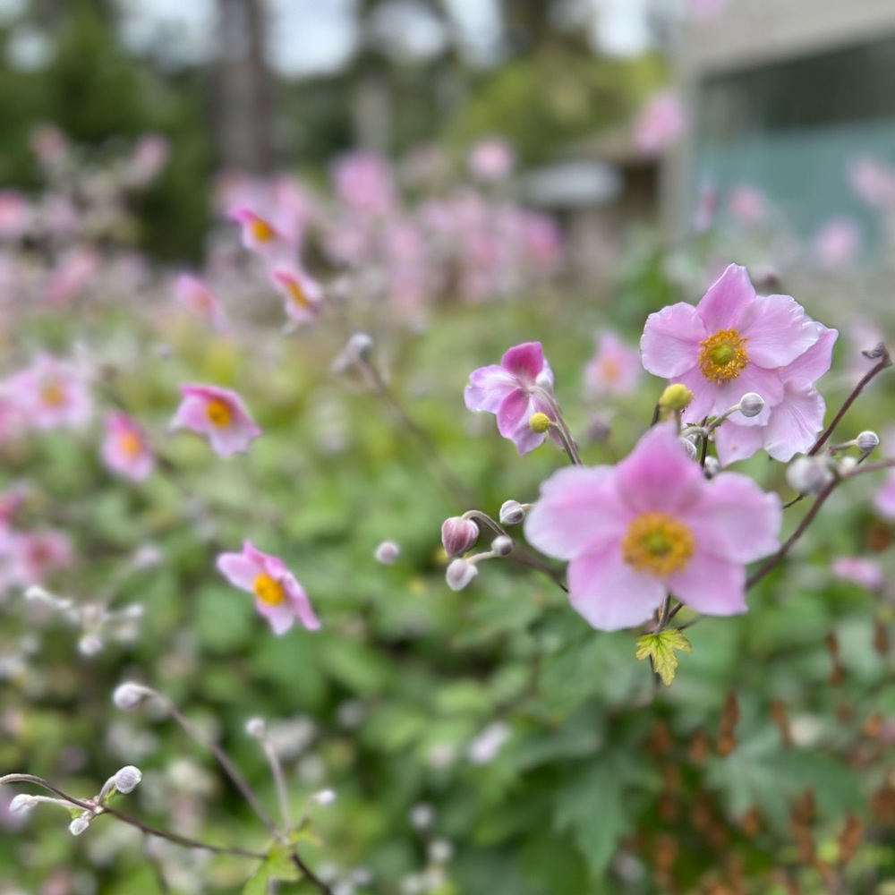 Meet your Posher, Jen